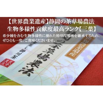 ふるさと納税 掛川市 世界農業遺産 茶草場農法 深蒸し掛川茶 100g×3袋 静岡県掛川産 煎茶 一番茶 |  | 01