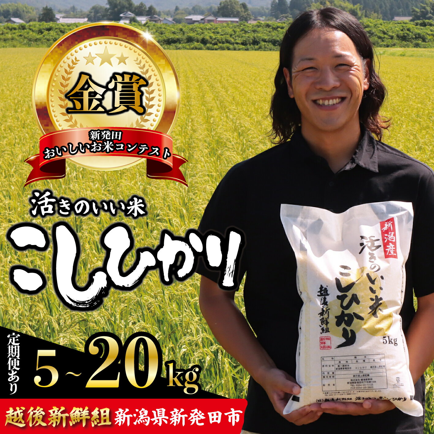 【ふるさと納税】 金賞米 コシヒカリ 5kg 10kg15kg 20kg 新潟 米 先行予約 定期便 令和7年産 こしひかり 選べる 配送月 精米 白米 ご飯 おにぎり 弁当 新潟県産 新発田産 お米 こめ 受賞 人気 米 新潟県 新発田市 越後新鮮組 農家直送 shinsengumi