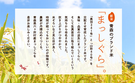 青森県 六ケ所村産 まっしぐら 玄米 10kg（田中健）