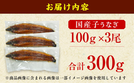 【訳あり】国産うなぎ（100g×3尾） / うなぎ 鰻[AFBS009]