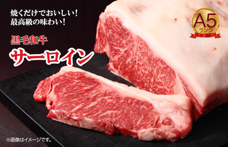 【全12回定期便】黒毛和牛 A5ランク サーロインブロック 500g 冷蔵 国産牛 ステーキ ブロック肉 BBQ