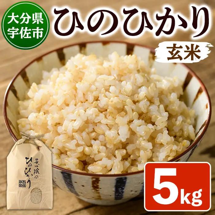 ＜令和7年産＞安心院産ひのひかり 玄米 (5kg) 米 お米 ひのひかり ヒノヒカリ 玄米 ご飯 大分県産【101200702】【百姓和楽】
