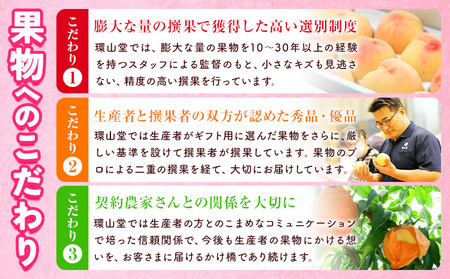 【2026年先行予約】桃 もも 清水白桃 5～7玉 約1.5kg 岡山県産 環山堂株式会社【配送不可地域あり】（北海道・沖縄・離島）《2026年7月中旬-7月下旬頃出荷》岡山県 浅口市 白桃 果物 フ