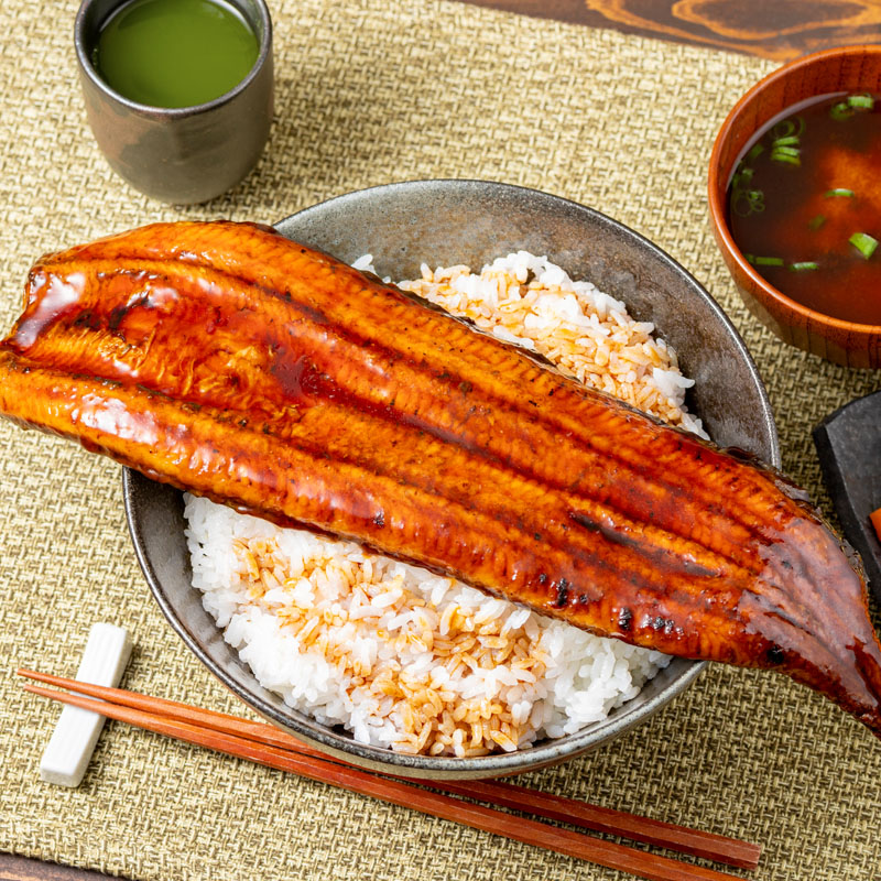 鹿児島産超特大うなぎ蒲焼(無頭) (計960g以上・240g以上×4尾) 鰻 蒲焼き 真空パック【株式会社財宝】B214