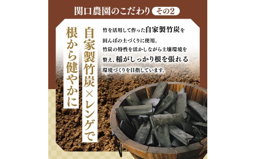 令和8年度 新米 コシヒカリ 精米 5kg 農家直送 | コシヒカリ こしひかり 米 お米 おこめ こめ 白米  ごはん ご飯 厳選米 茨城県産 こしひかり 産地直送 国産 冷めてもおいしい 美味しい