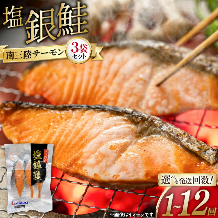 【ふるさと納税】鮭 切り身 塩銀鮭 パック 3切入 3袋 【選べる発送回数】 [たみこの海パック 宮城県 南三陸町 m304amh560041] 冷凍 サーモン 銀鮭 シャケ 切身 さけ サケ 国産 小分け 個包装 定期便