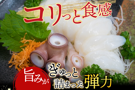 【北海道根室産】真たこ足1～1.3kg・たこ頭1.5～1.9kgセット F-19002