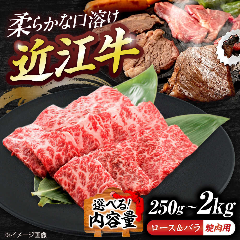 【ふるさと納税】【選べる容量】近江牛モモ＆バラ（焼肉）250g~2kg / 牛肉 焼き肉 近江牛肉 肉 赤身 霜降り 黒毛和牛 和牛 牛 国産牛 ブランド牛 グルメ 高級肉 焼肉セット 焼肉用 赤身肉 食べ比べ モモ肉 国産 滋賀県 / 栗東市 / 有限会社 岡山[BIBE071]