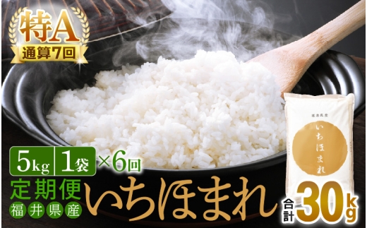 特A通算7回！お米 令和7年産 定期便 6回 いちほまれ 5kg × 6回（計30kg）福井県産【米 コメ kome 6ヶ月連続 計30キロ 精米 白米】 [e27-i006]
