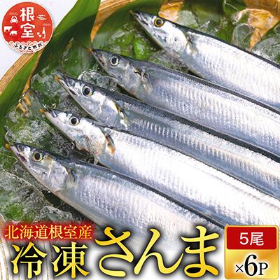 ふるさと納税 根室市 【北海道根室産】冷凍さんま30尾セット B-70005