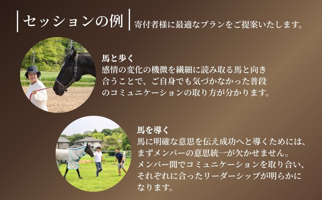 ホースミラーリングセッション  1名様
