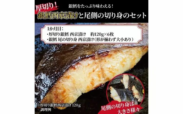定期便 2ヵ月「厚切り銀鱈西京漬」1kgと尾の身＆骨抜き西京漬け 5種 各2枚 計10枚 銀鱈 銀ヒラス ホッケ又はサバ 赤魚 鱈類 銀鱈西京焼き 銀鱈 西京焼き 漬け魚 漬魚 西京味噌