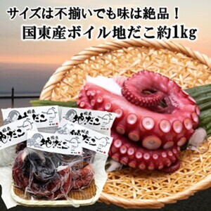 2561R_サイズは不揃いでも味は絶品！国東産ボイルたこ足約1kg