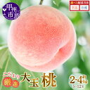 甲州市産厳選旬の桃大玉5～6ヶ入り 2kg以上