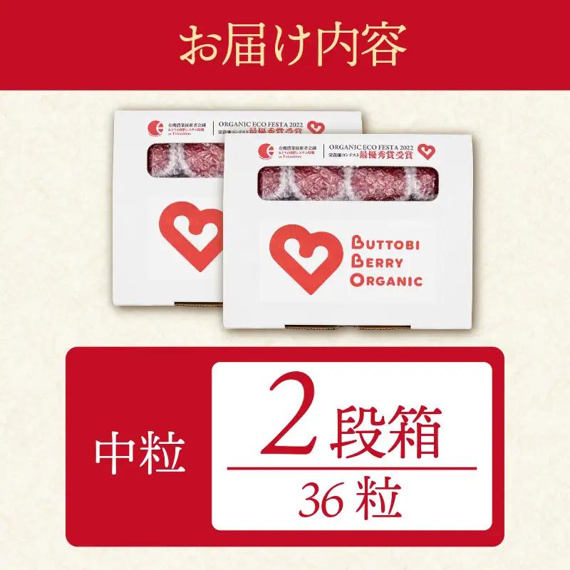 オーガニック いちご 中粒 約36粒 《1月末から5月発送》 有機JAS認証 ORGANIC 甘い 苺 果物 フルーツ 産地直送 新鮮 ストロベリー ジャム スムージー 期間限定 徳島