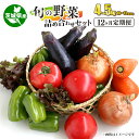 【ふるさと納税】【定期便】旬の野菜詰め合わせセット 毎月12ヶ月 10～13品目 4～5kg やさい ヤサイ 茨城県産 毎月お届け 12回 送料無料