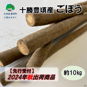 十勝豊頃産 ごぼう約10kg【2024年秋出荷】（先行受付）【工房みみずく】