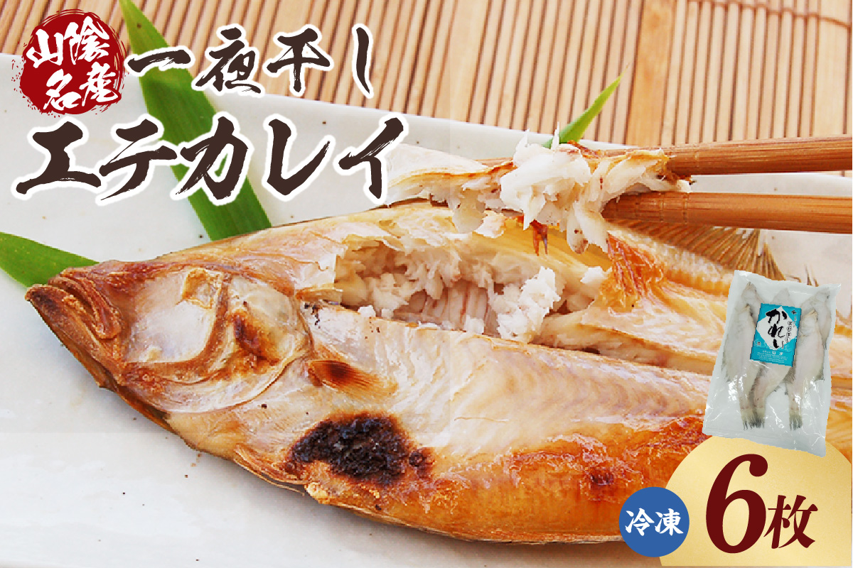 【山陰名産エテカレイ一夜干し 6枚（冷凍）】入金確認後、順次発送  産地直送 鮮度抜群 エテカレイ 干物 下処理不要 大人気 ふるさと納税 兵庫県 香美町 香住 山米鮮魚 74-11
