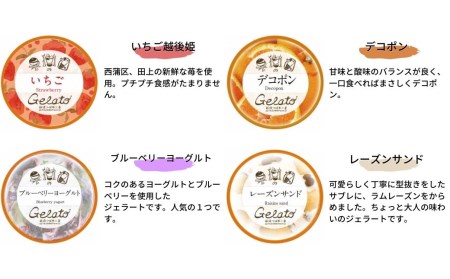 [春期限定]果樹園のジェラートセレクト春セレクト1 [6種×各1個] 合計6個セット ジェラート詰合せ アイス詰合せ ジェラートセット アイスセット 濃厚ジェラート  [田沢農園] 【010S299】
