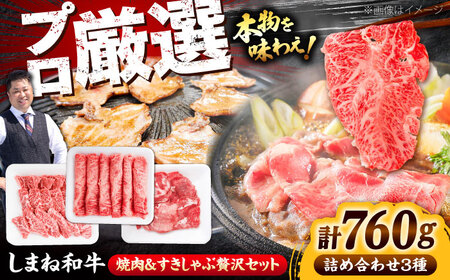 牛肉 しまね和牛焼肉＆すきしゃぶ贅沢セット（760g）[AIEF016] 牛肉