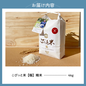 【先行予約】【令和8年度新米】こぴっと米【極】4kg 大粒厳選・1等特別栽培米 100％ [h020]