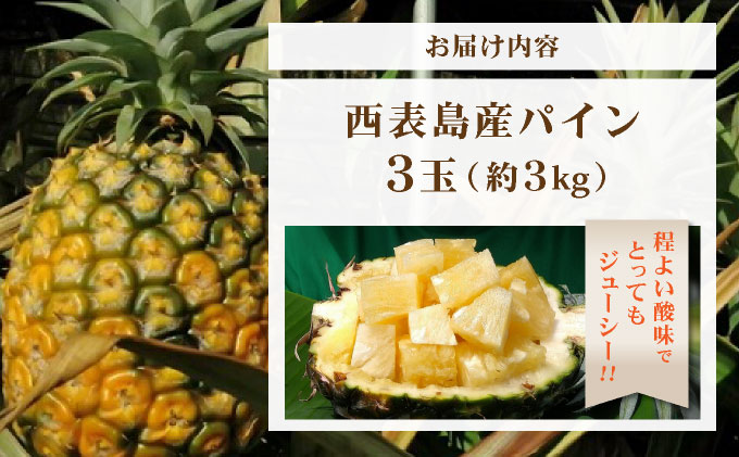 日本最南端のパイン３玉セット　約３ｋｇ　西表島産
