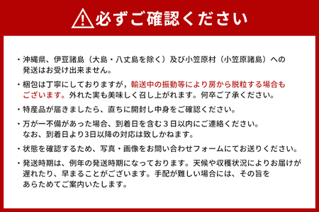 【 2026年 先行予約 】 「加温ハウス栽培」 巨峰 2kg（ 種あり ） 久家ぶどう園 2房 ぶどう ブドウ 有機 肥料 ハウス 栽培 国産 果物 くだもの 葡萄 フルーツ 2キロ  夏 旬 品種