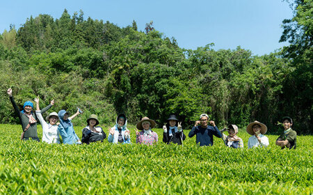 オーガニックのべにふうき緑茶 (85g×1個) BKBR001 緑茶