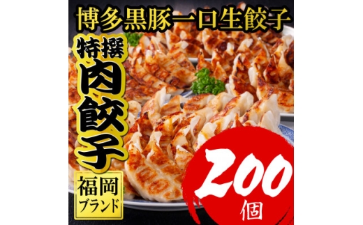 ＜200個!!＞＜福岡ブランド＞博多黒豚一口生餃子 8パック小分　福岡県産ラー麦皮使用 (福岡県)【1763805】