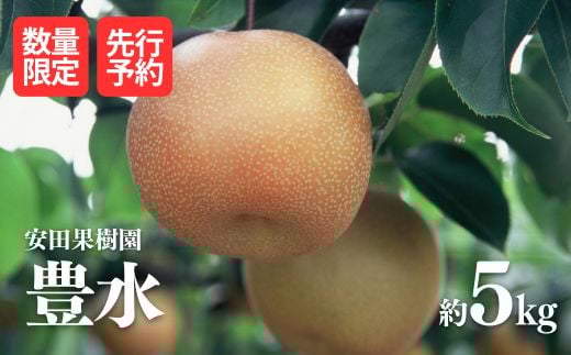No.1799梨　豊水　約5kg【2025年発送　先行予約】