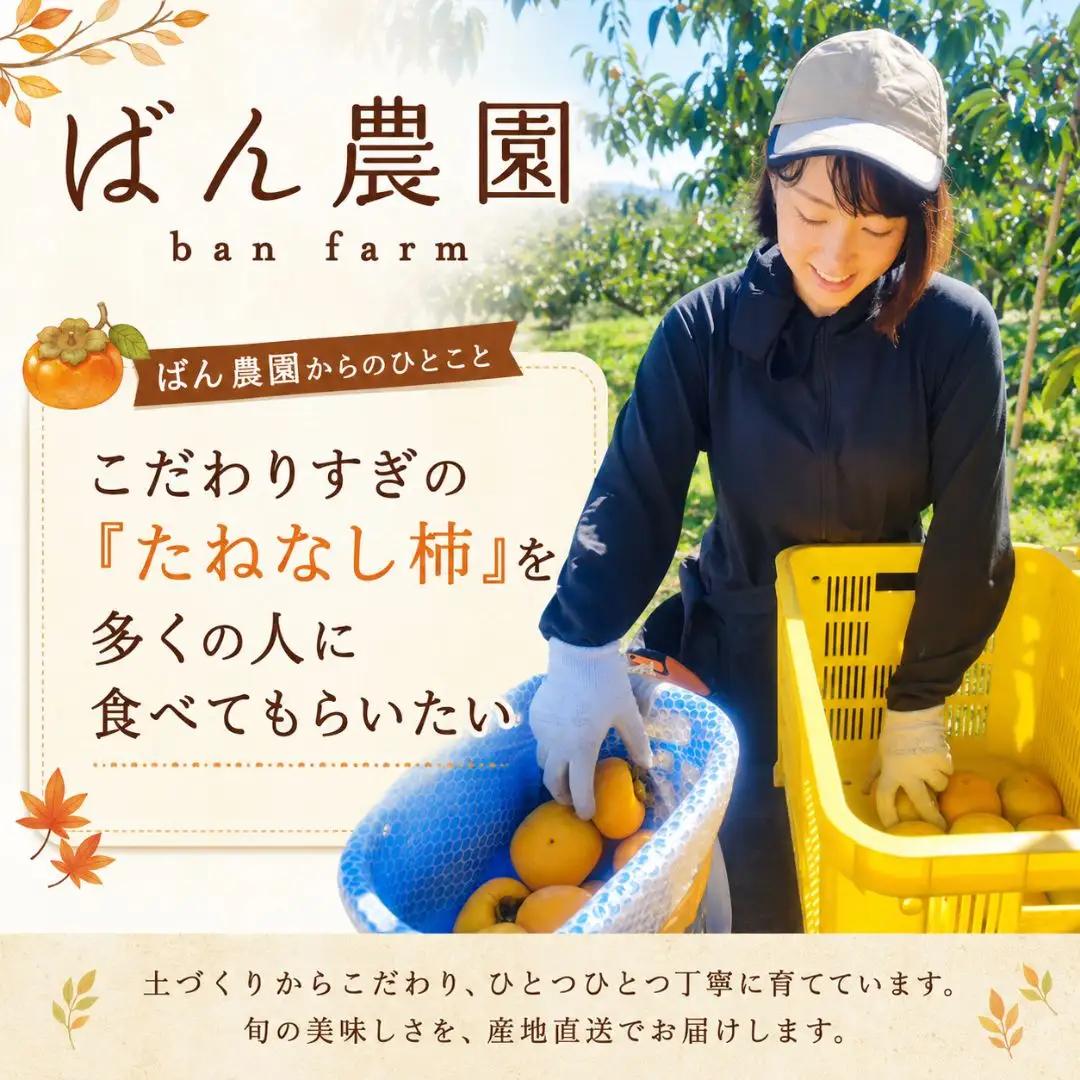 柿 たねなし柿 10kg 訳あり 大玉