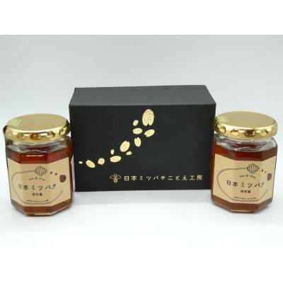 ふるさと納税 豊前市 日本ミツバチの蜂蜜(ギフトセット150g×2本)