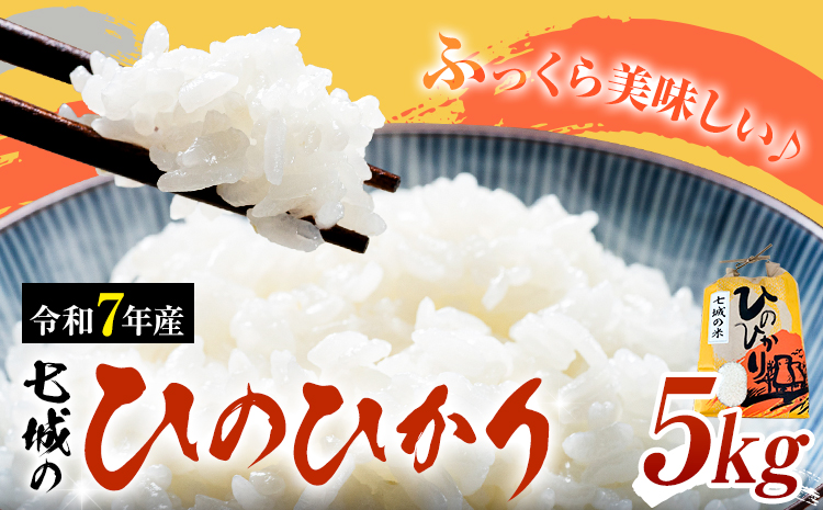 米 令和7年産 七城の ひのひかり 5kg 有限会社草佳苑《90日以内に出荷予定(土日祝除く)》熊本県 菊池市 こめ 米 ひのひかり ブランド米 お米