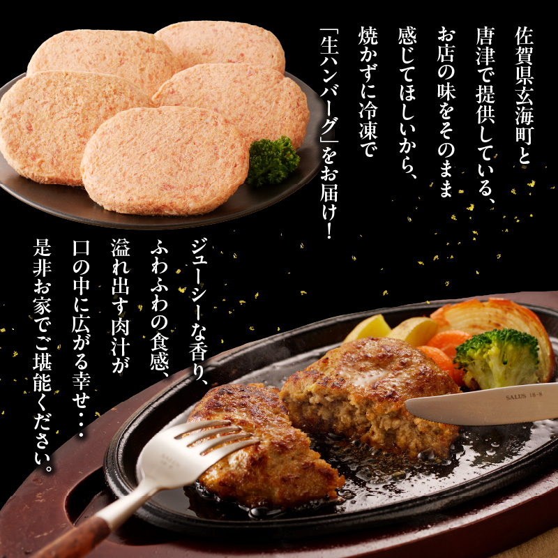 丸福　ハンバーグ（5個入り）（5月配送）
