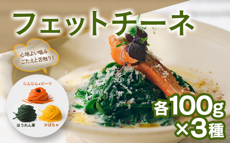 パスタ ベジタブル 野菜パスタ スパゲッティ フェットチーネ マカロニ VEGE.PA ベジパ 9食