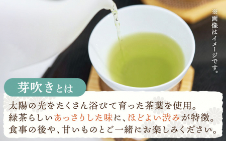 【あっさりとした有機栽培茶】さざの有機栽培茶 芽吹き 100g×3本セット【宝緑園】[QAH006]