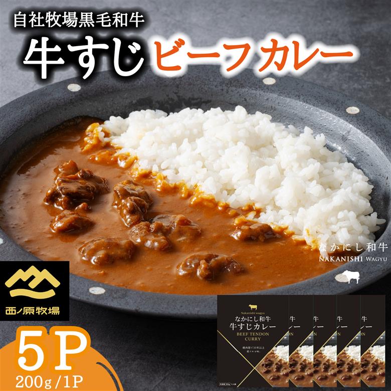 宮崎県西ノ原牧場・黒毛和牛 牛すじ ビーフカレー 5P 牛肉 国産 和牛 牛スジ カレー レトルト 簡単調理