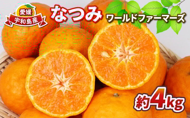 
            なつみ 家庭用 4kg ワールドファーマーズ  初夏のみかん 人気みかん 南津海 マンダリン高級 ブランド 希少 品種 愛媛ミカン 愛媛蜜柑 蜜柑 みかん mikan 果物 くだもの フルーツ 柑橘 数量限定 産地直送 国産 愛媛 宇和島 B012-024013
          