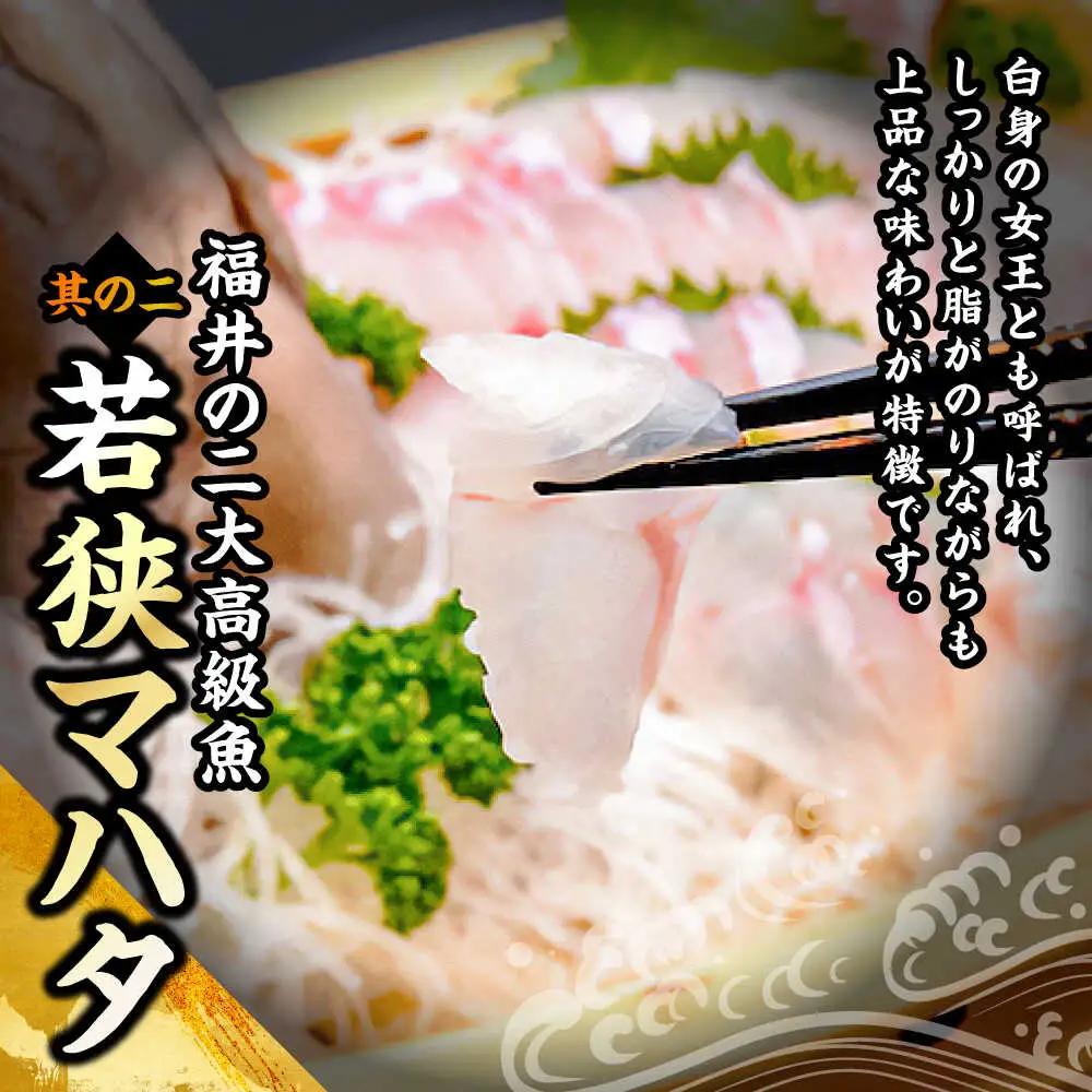 若狭ふぐ てっさ と 若狭まはた お刺身 セット【4人前】冷蔵 小浜市 / 若狭ふぐの宿 下亟【配送不可地域：北海道・沖縄・離島】[BFAF020] ふぐ
