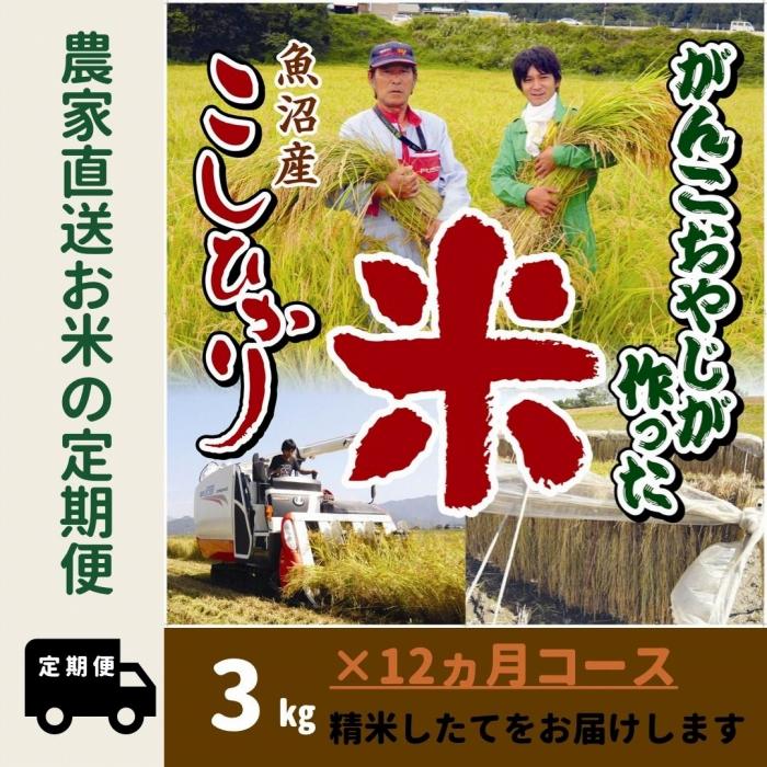 【特別栽培米】12か月定期便　がんこおやじが作った南魚沼産コシヒカリ白米３kg