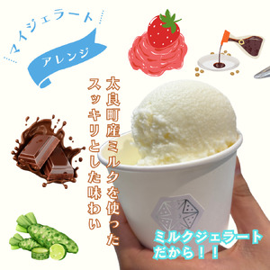 しぼりたて生乳で作った濃厚ミルクジェラート 6個セット ジェラート シャーべット アイスクリーム アイス 生乳 ミルク ジェラート クリーミー デザート 氷菓子 スイーツ 濃厚 冷凍 佐賀県 太良町 