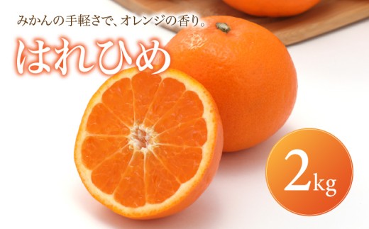 【選ぶならこれ】 とろける甘み 【はれひめ】 2kg 愛媛県産 【2027年1月上旬頃から順次発送】 | みかん ミカン mikan 蜜柑 訳ありフルーツ 柑橘 果物 おすすめ お勧め お取り寄せ ギフト 愛媛県 松山市