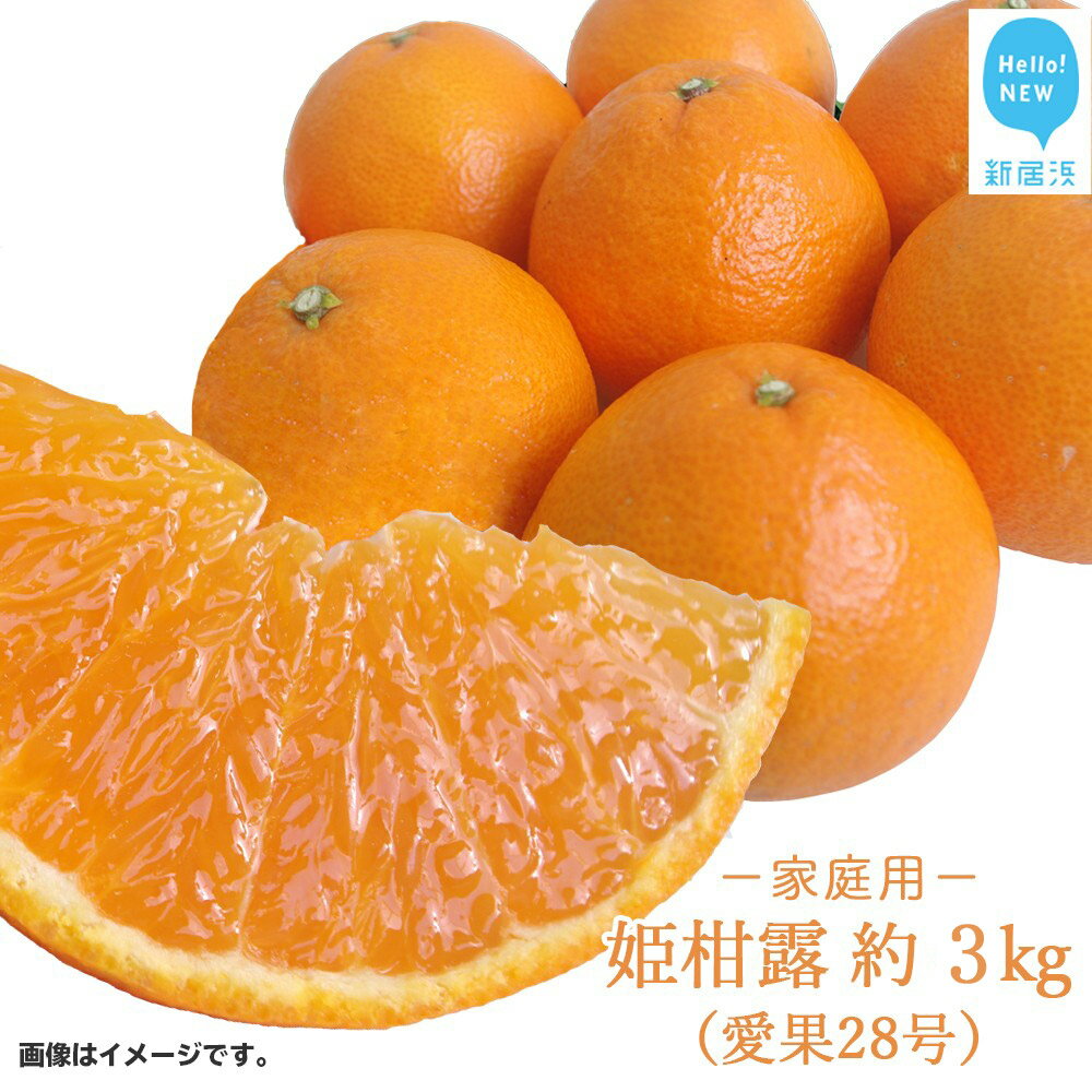 【ふるさと納税】姫柑露 （愛果28号）ひめかんろ 約3kg 家庭用（宇和島産） 【期間限定：11月30日まで】【発送期間限定：11月下旬〜12月中旬】