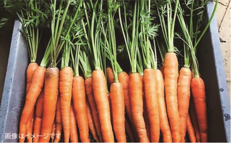 【全3回定期便】【福岡県 糸島産】朝採れ 野菜 セット（10品前後) 《糸島》【オーガニックナガミツファーム】 [AGE006] 野菜セット 野菜 やさい サラダ 詰め合わせ トマト とまと