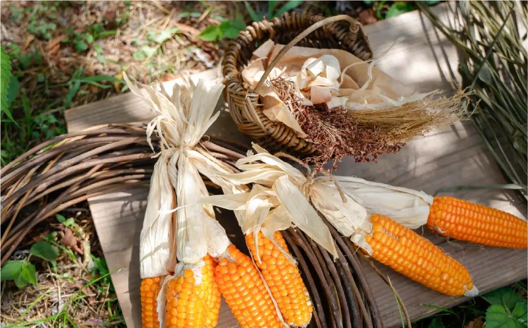 世界にひとつ ツルかごとブーケ 里山の草木から生まれた｜一点もの 自然素材 インテリア 天然素材 ハンドメイド