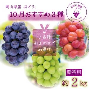岡山　花笑み農園のブドウ『10月おすすめ3種セット』(3房)贈答用　3M-2L上【10月～順次発送】【配送不可地域：離島・北海道・沖縄県】【1626677】