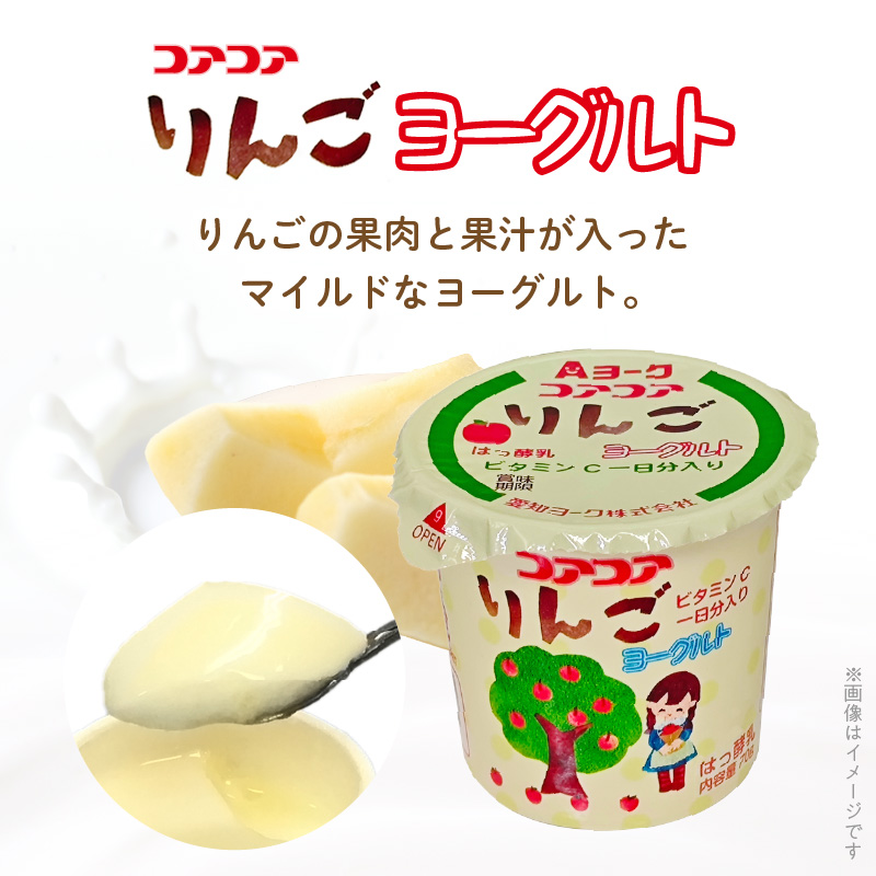 【6ヶ月定期便】愛知ヨーク　コアコアいちご・コアコアりんご　20個入