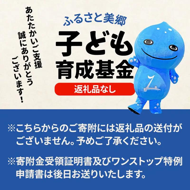 《返礼品なし》ふるさと美郷子ども育成基金 1口100,000円分