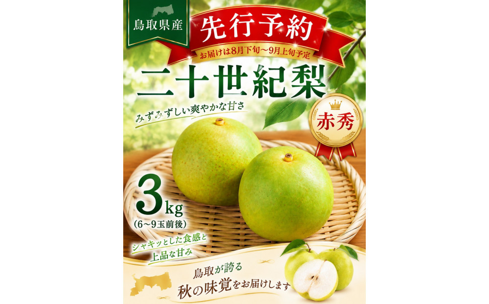 東商果樹園 二十世紀梨(赤秀)3kg 【鳥取県 境港市】