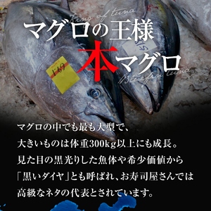 本マグロ赤身300g　解凍レシピ付　1サクずつ真空包装